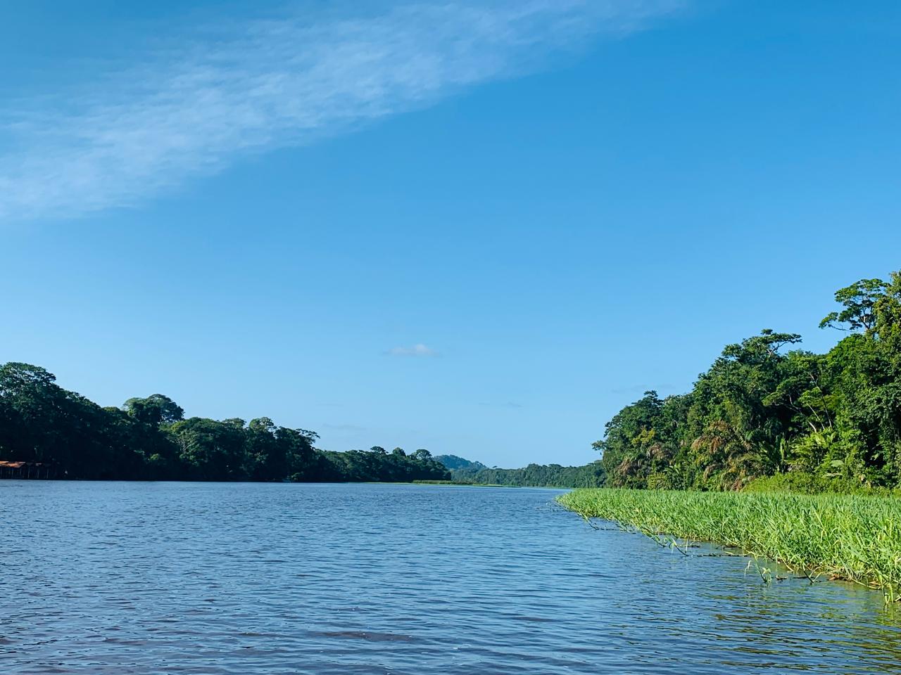 Tortuguero WhatsApp Image 2025-12-06 at 11.40.47 AM (2)